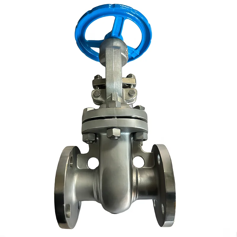 سٹینلیس سٹیل API Flanged گیٹ والو